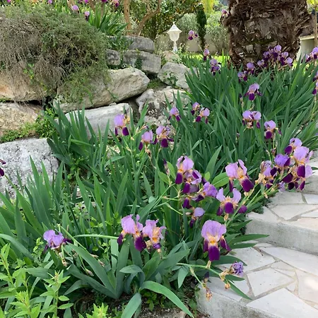 Avec Piscine Et Jardin * * Villa *